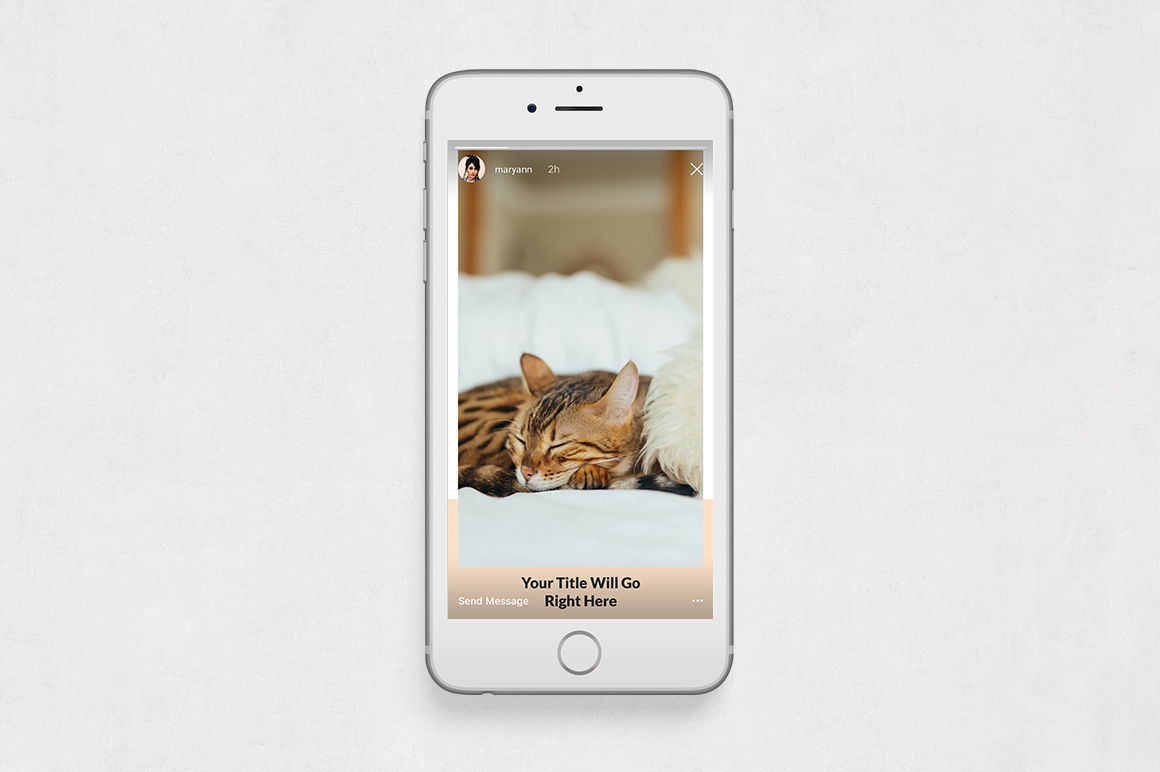 cats Animated Instagram Stories