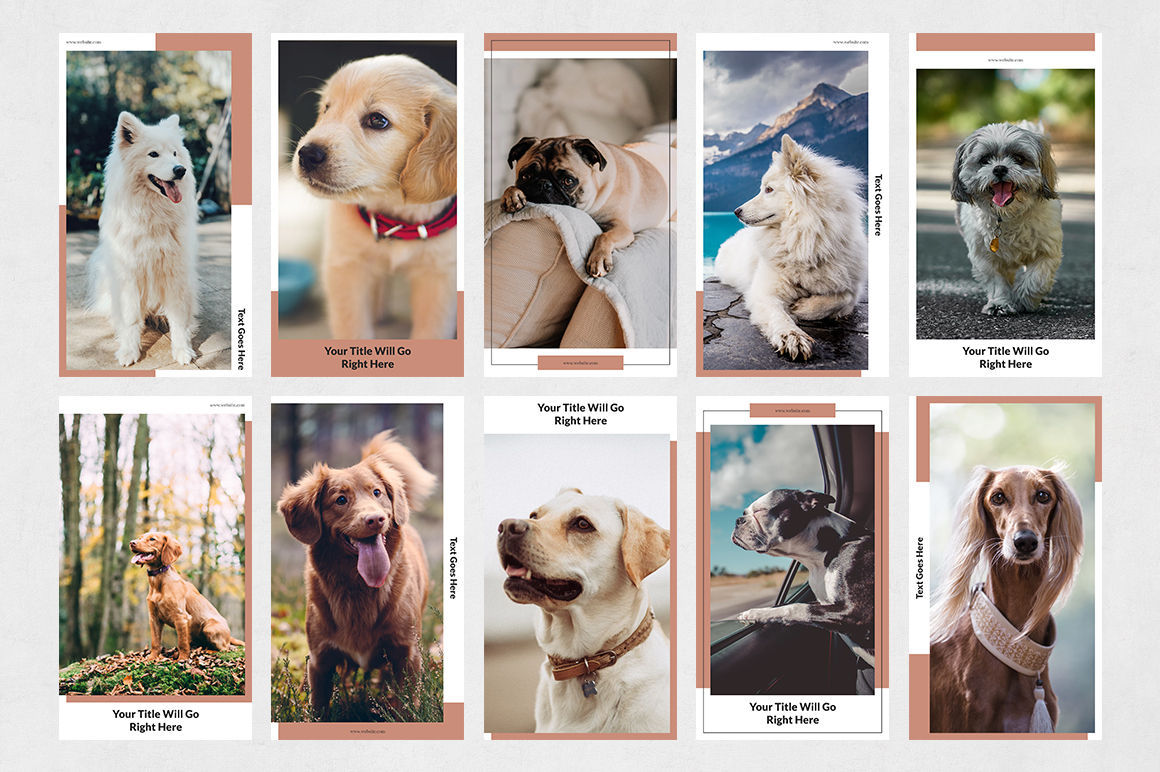 dogs Instagram Stories