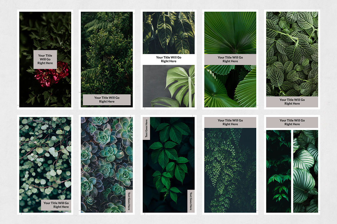 Nature Instagram Stories